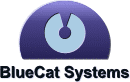 Website Developer in Perth WA - BlueCat Systems
